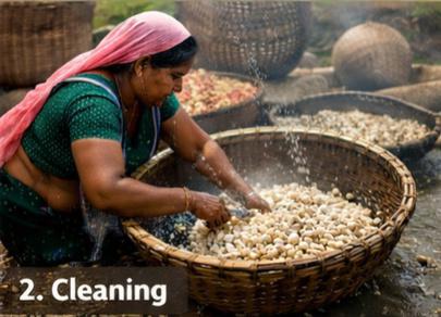 Sorting Makhana